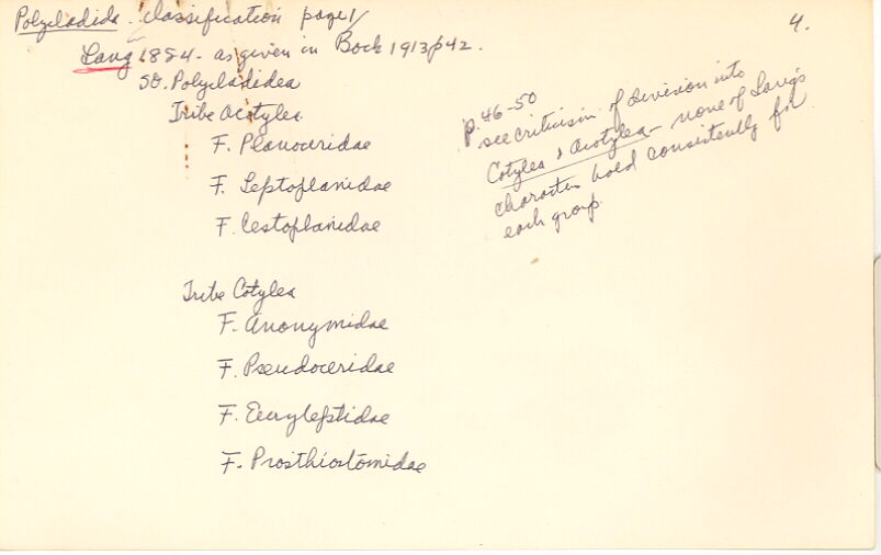 index card
