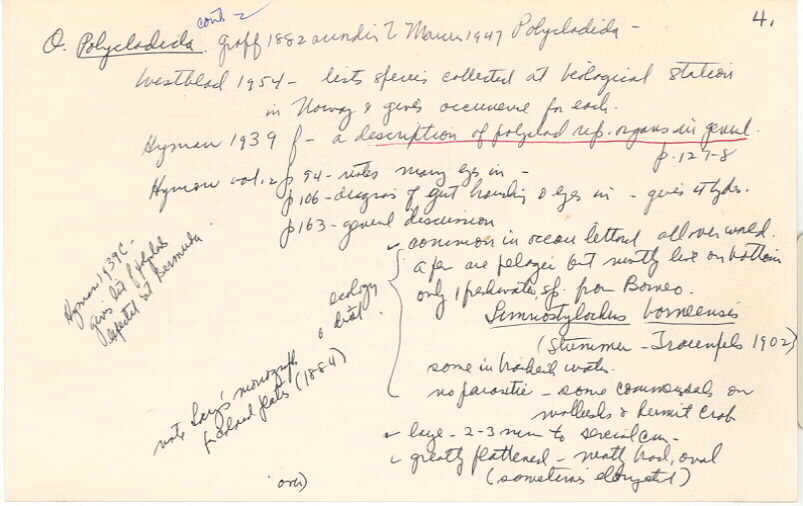 index card