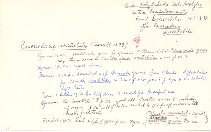 index card