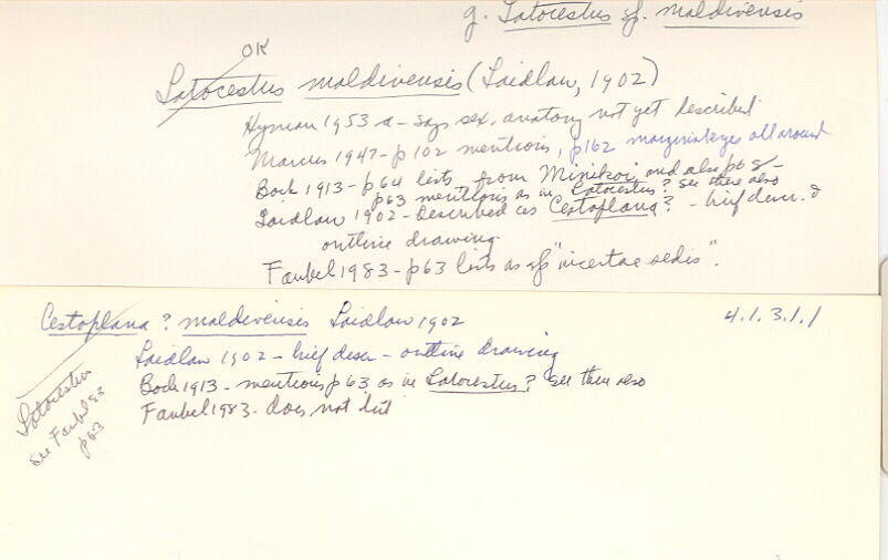 index card