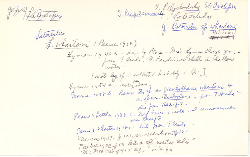 index card