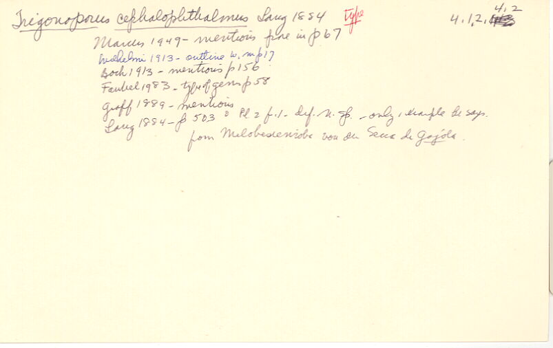 index card