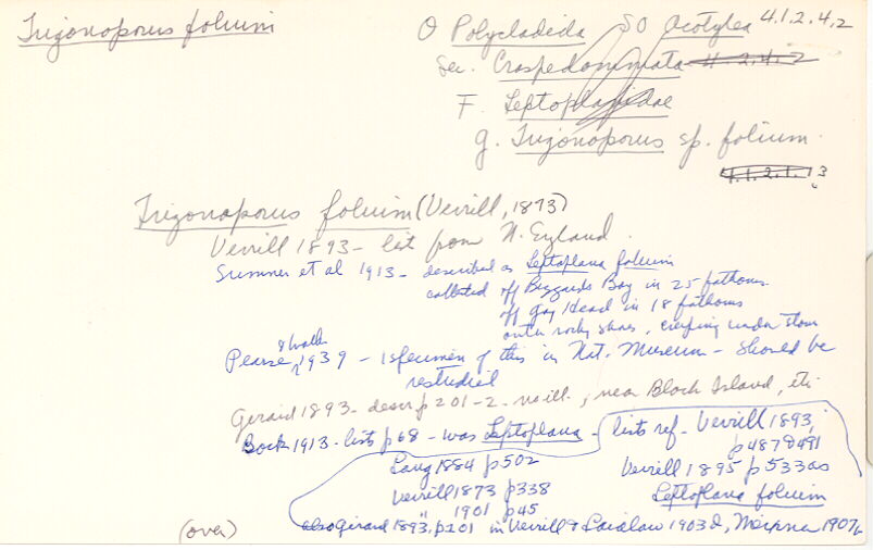 index card