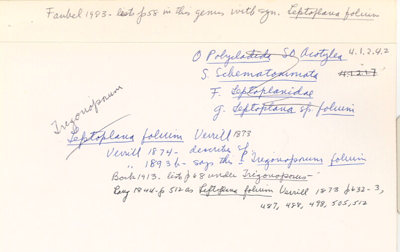 index card