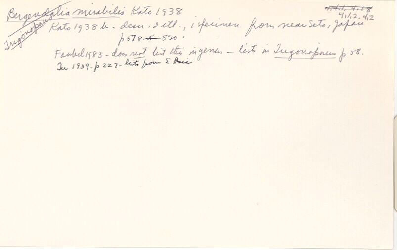 index card