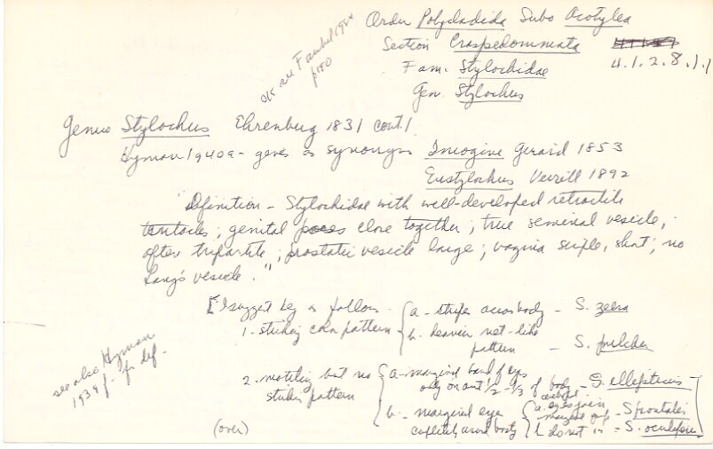 index card