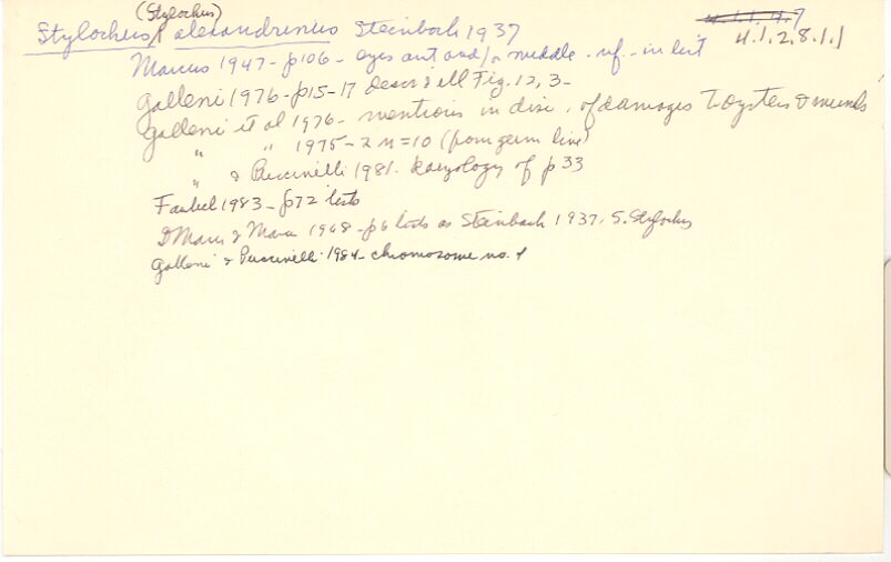 index card