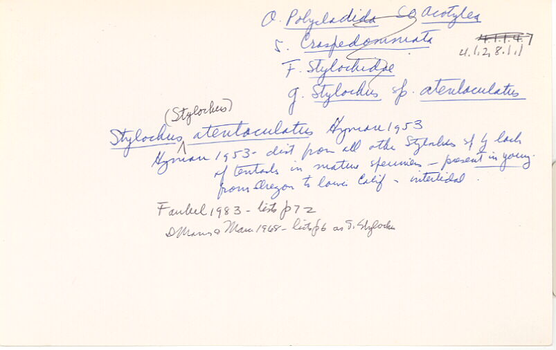 index card