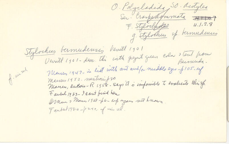 index card