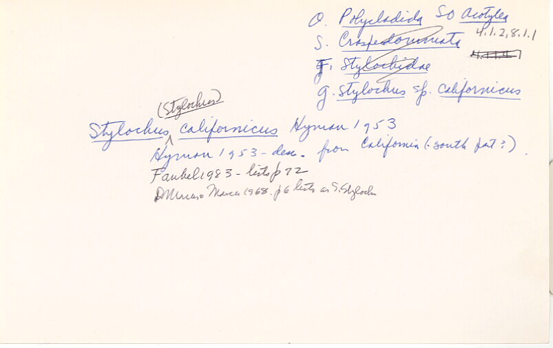 index card