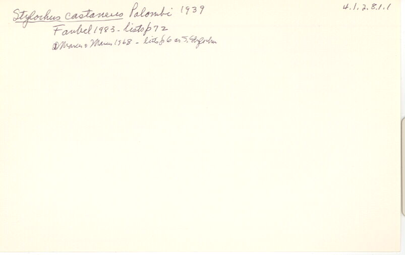 index card