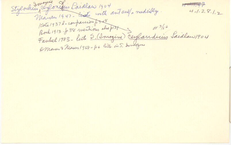 index card
