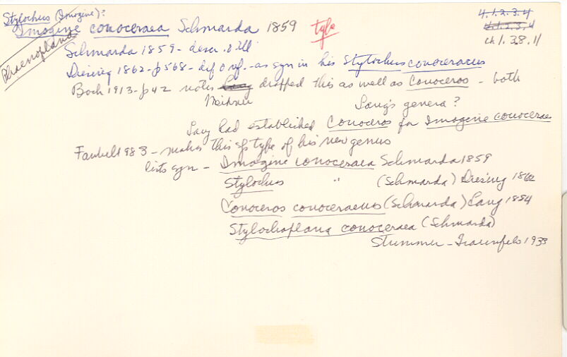 index card
