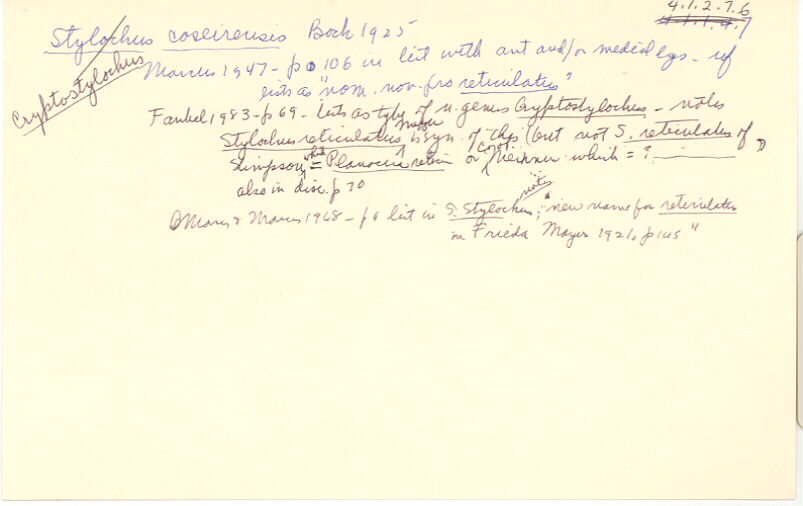 index card