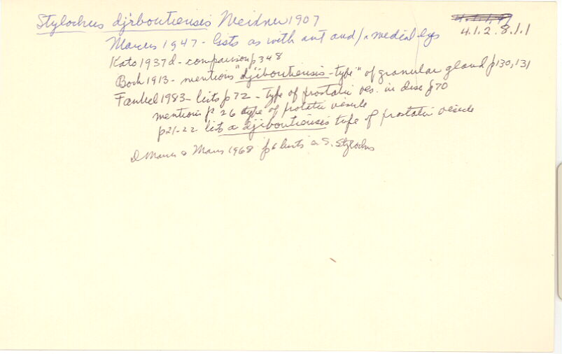 index card