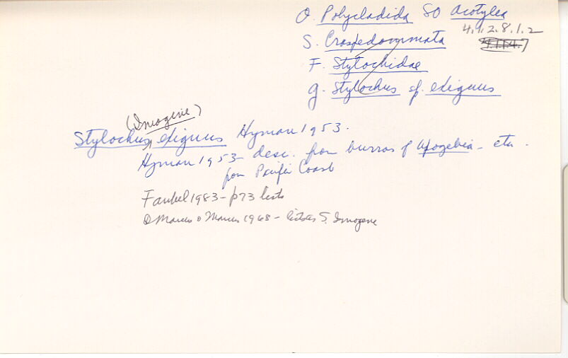 index card