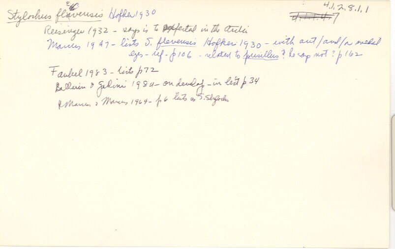 index card