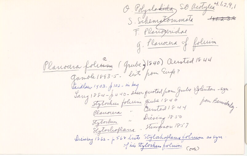 index card