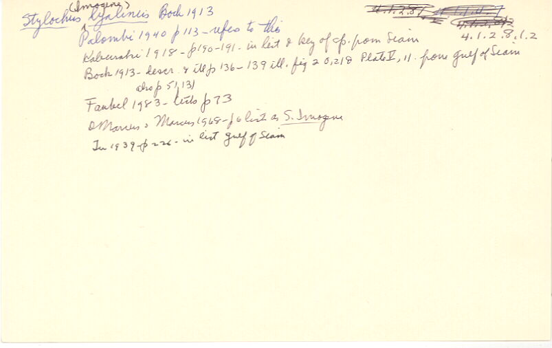 index card