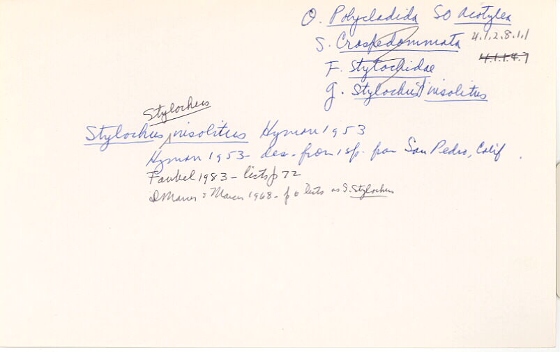 index card