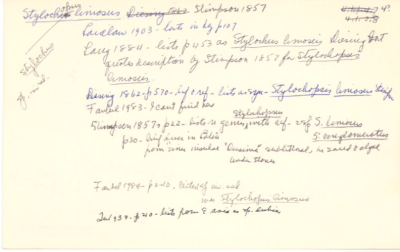 index card