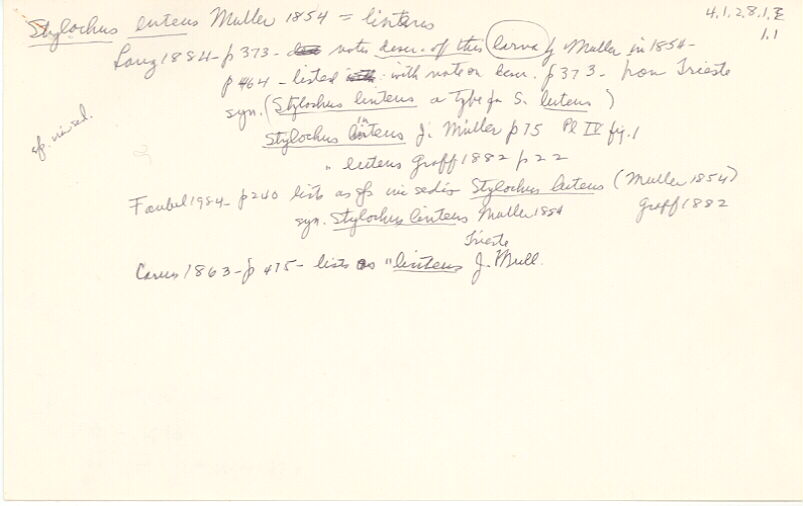 index card