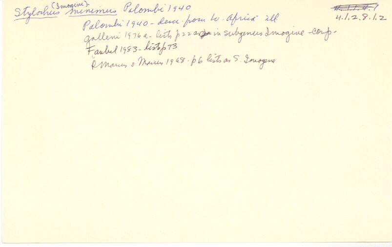 index card