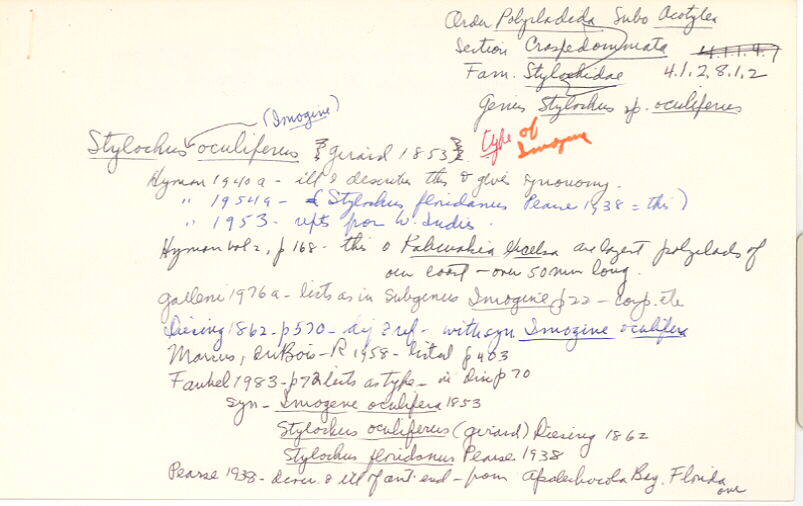 index card