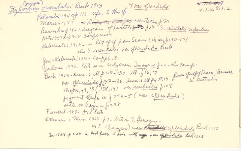 index card