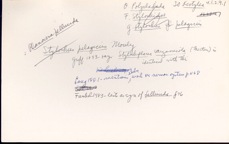 index card