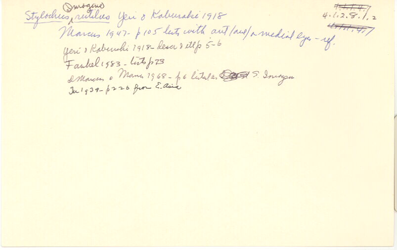 index card