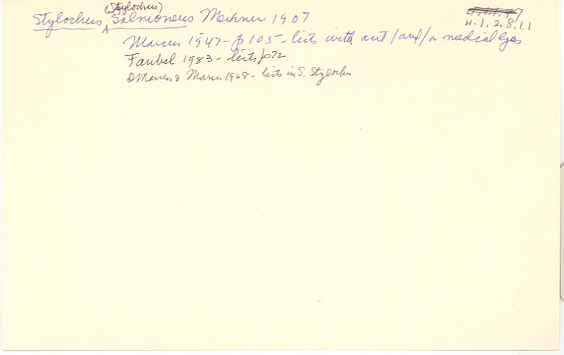 index card