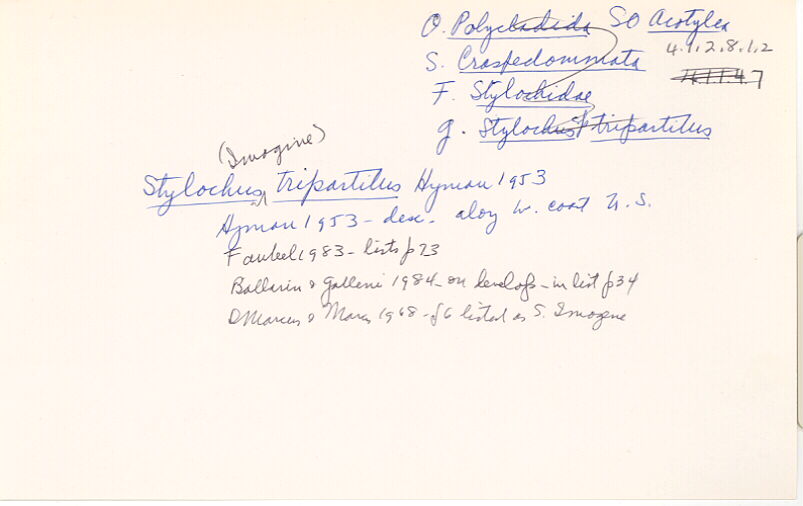 index card