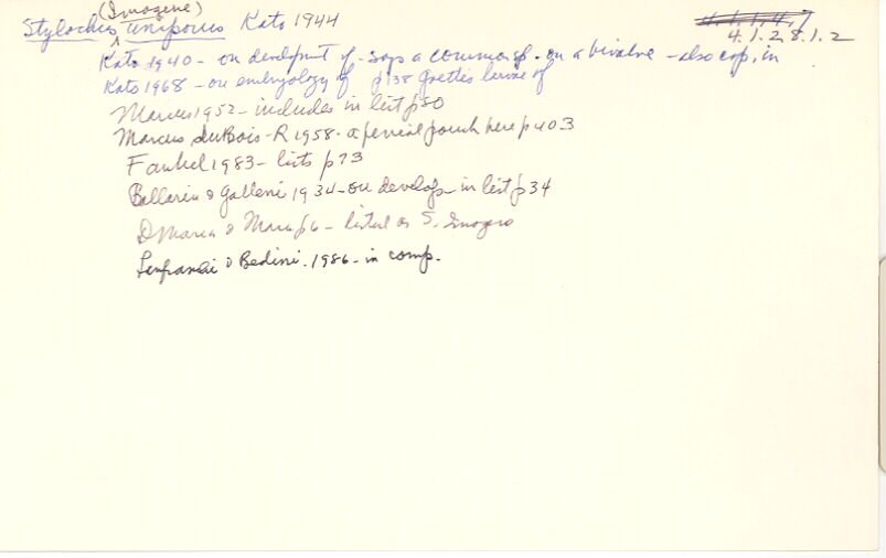 index card