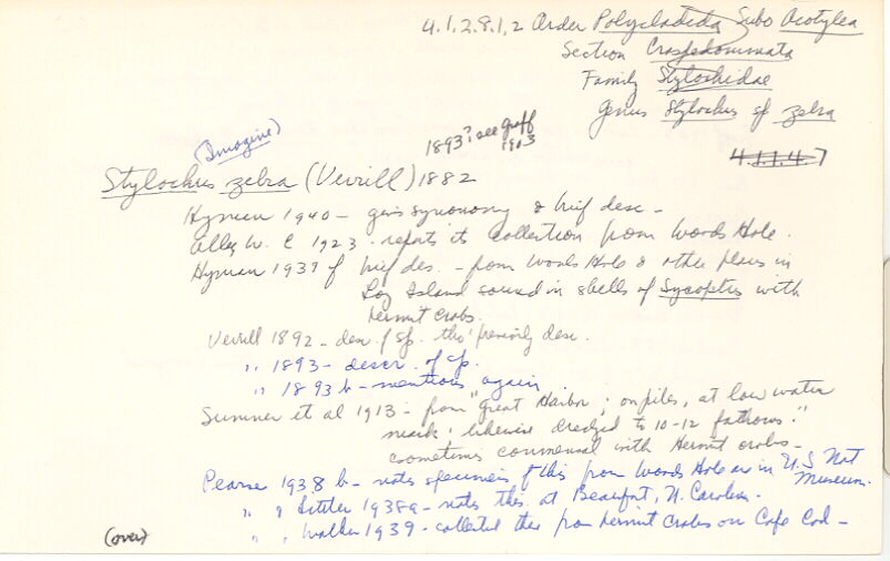 index card