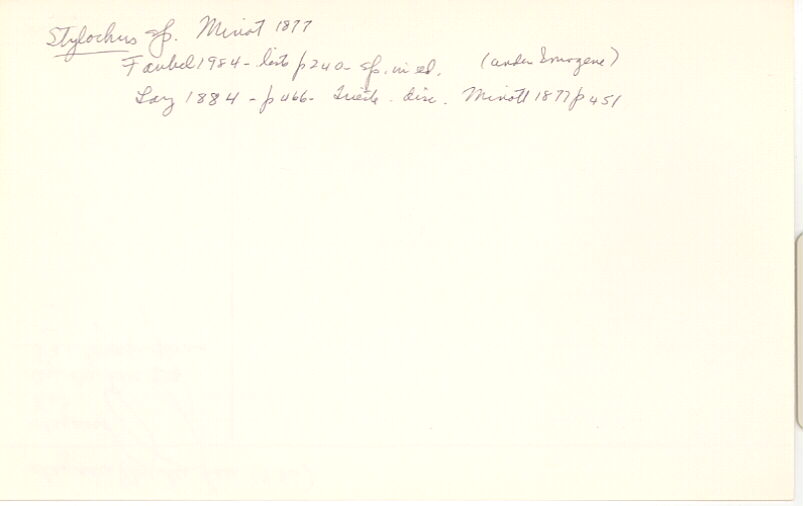 index card