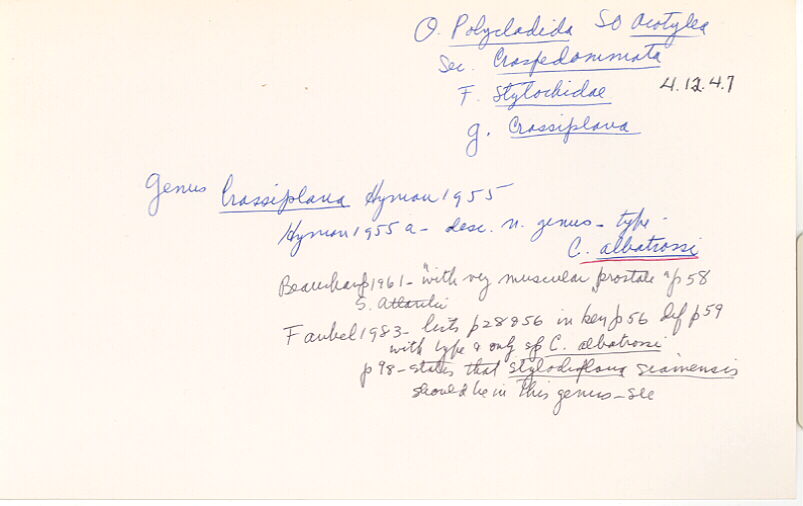 index card