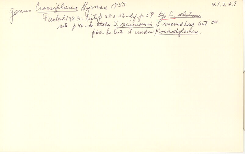 index card