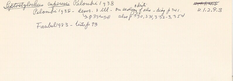 index card