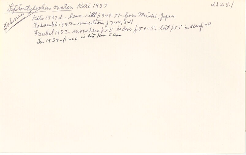 index card