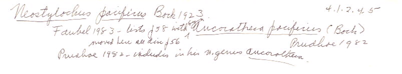 index card