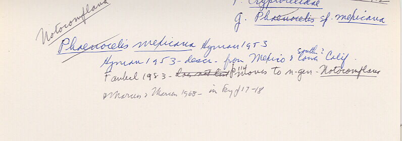 index card