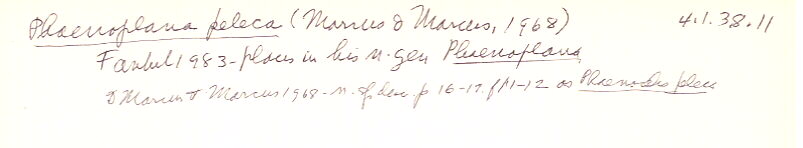 index card