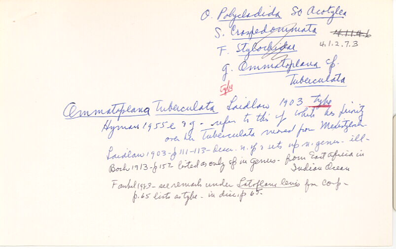 index card