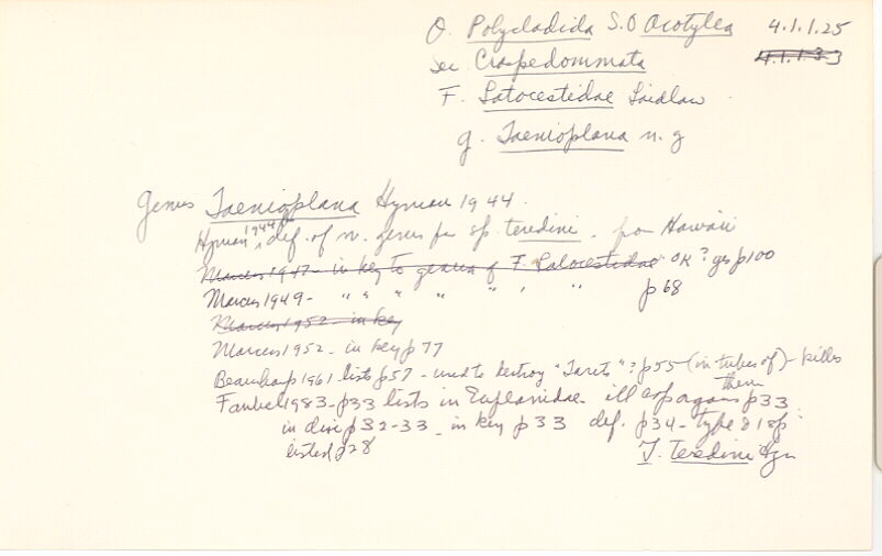 index card