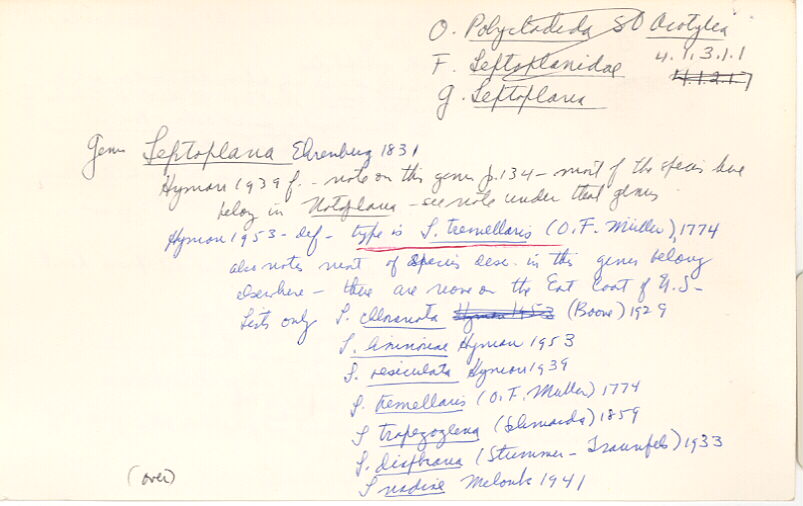 index card