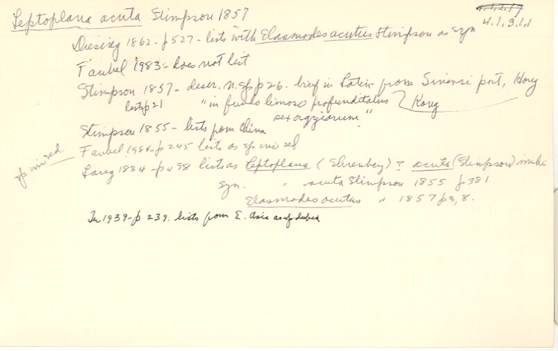 index card