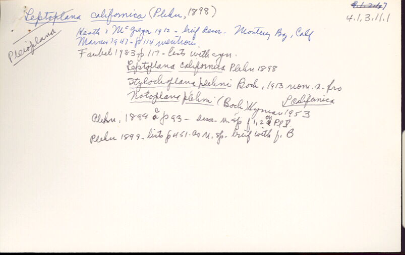 index card