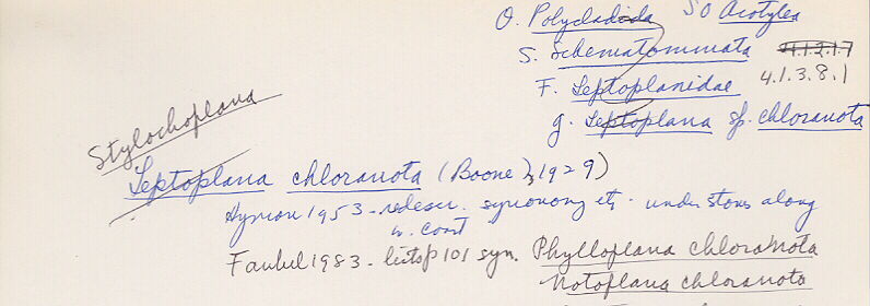 index card
