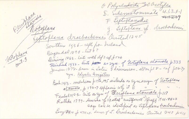 index card